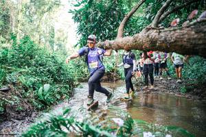 BIB: 
                            <button type="button" onclick="openModal(25515451)" class="btn btn-primary btn-sm float-right btn-popup" data-toggle="modal" data-target=".modal-high-quality">
                        <i class="fas fa-shopping-cart"></i> Add to Cart
                    </button>
                                            <button type="button" onclick="isThisMe(25515451, true)" class="btn btn-success btn-sm float-right btn-popup btn-isme hidden" data-toggle="tooltip" data-placement="bottom" title="นี่คือรูปของคุณใช่ไหม คลิกที่นี่เพื่อเอาเข้าอัลบั้ม">
                        <i class="fas fa-plus"></i> Add to album
                    </button>
                    <button type="button" onclick="isThisMe(25515451, false)" class="btn btn-warning btn-sm float-right btn-popup btn-isnotme hidden">
                        <i class="fas fa-ban"></i> Remove from album
                    </button>